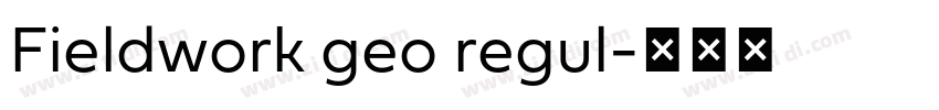 Fieldwork geo regul字体转换